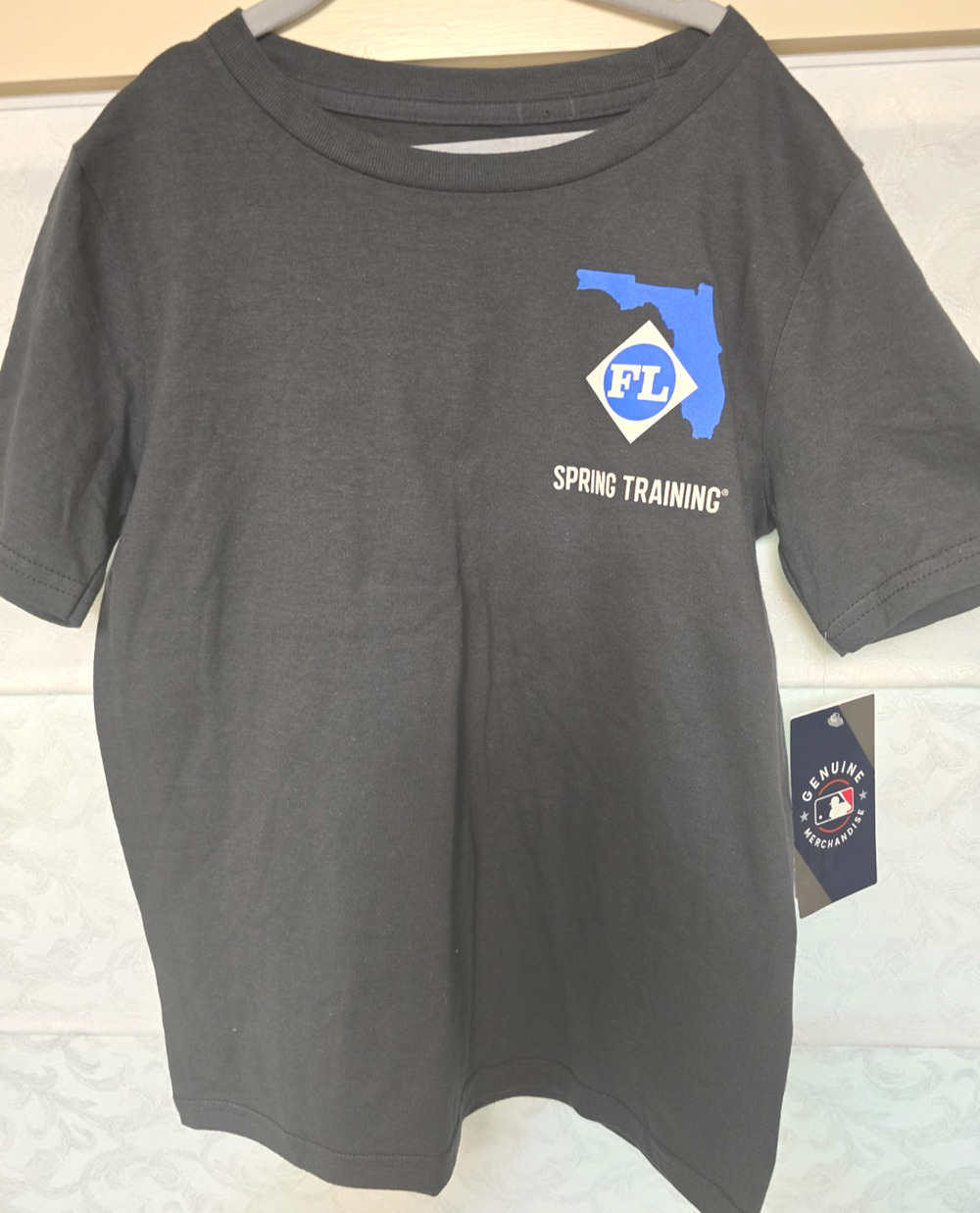 Nike MLB Grapefruit League Spring Training Youth Small 8 Gray Florida Tee NWT